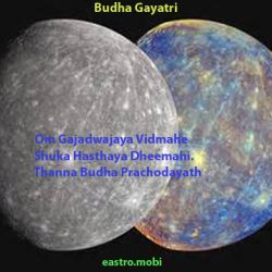 HIndu Astrology Consultancy Research & Software