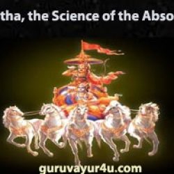 HIndu Astrology Consultancy Research & Software